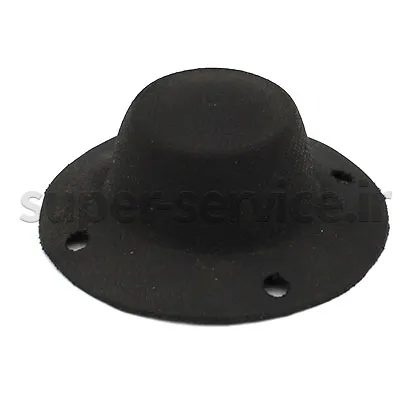 diaphragm