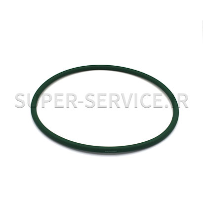 short-belt-+-igf-+-01018-igf