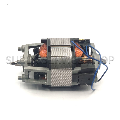 موتور-شيکر-هميلتون