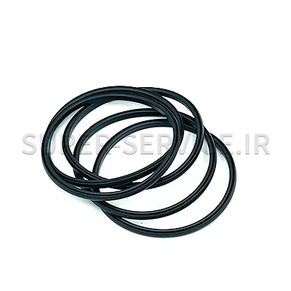 lip-seal