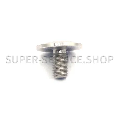 main-guide-fixing-screw