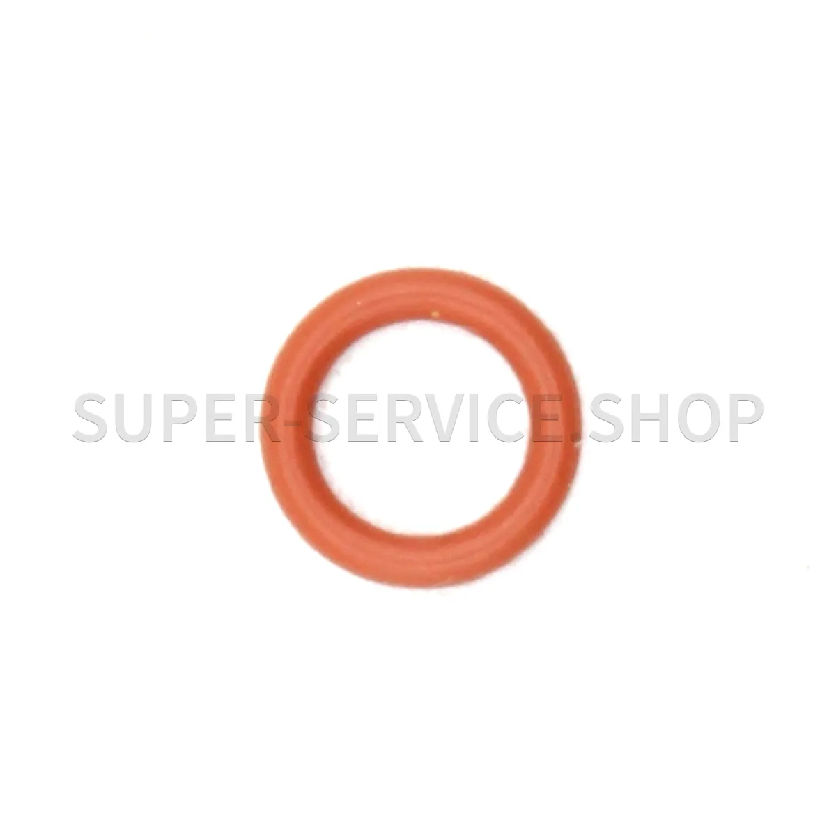 steam-tip-o-ring