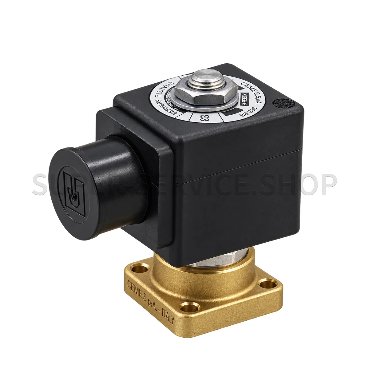 2-way-solenoid-valve,-forged-flange,-24vdc