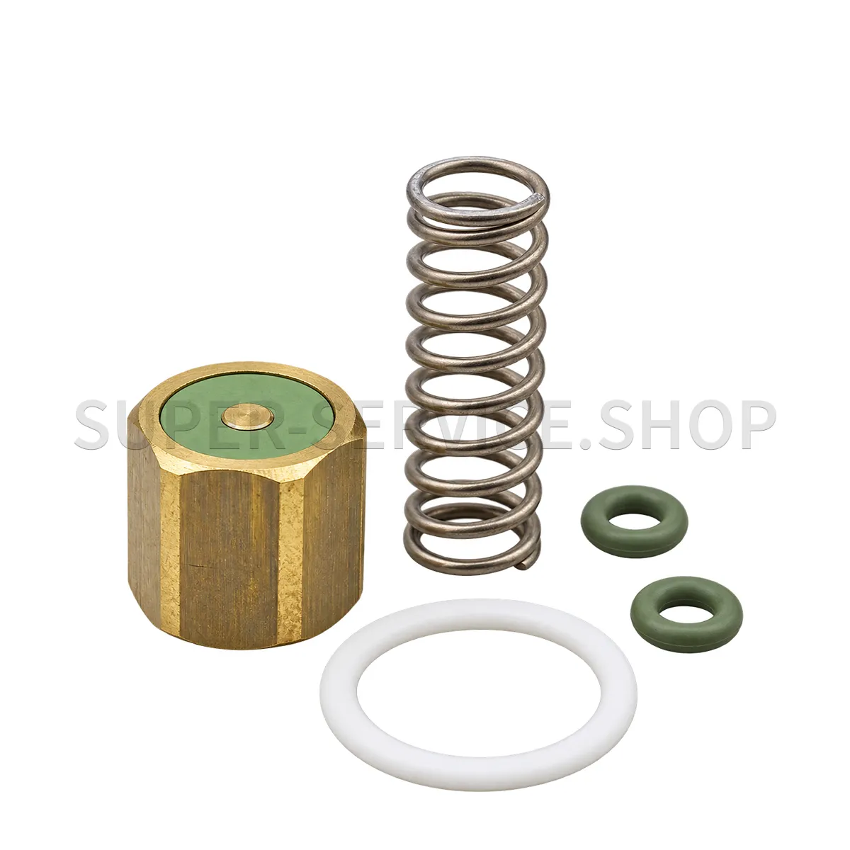 steam-valve-rebuild-kit-(spring,-ptfe-washer,-plunger-w/-gasket,-o-rings)