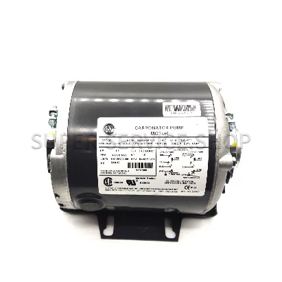 pump-motor