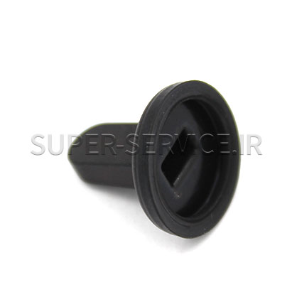 diaphragma