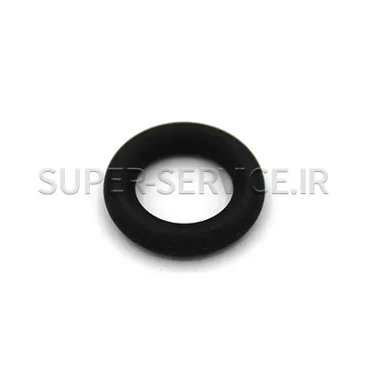o-ring-10.69-fkm